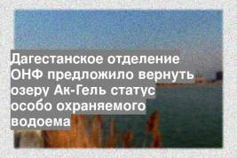 Дагестанское отделение ОНФ предложило вернуть озеру Ак-Гель статус особо охраняемого водоема