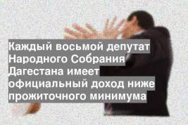 Каждый восьмой депутат Народного Собрания Дагестана имеет официальный доход ниже прожиточного минимума