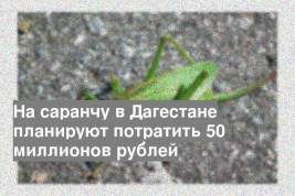 На саранчу в Дагестане планируют потратить 50 миллионов рублей