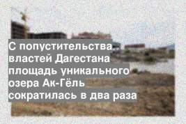 С попустительства властей Дагестана площадь уникального озера Ак-Гёль сократилась в два раза