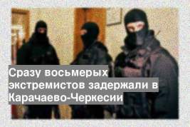 Сразу восьмерых экстремистов задержали в Карачаево-Черкесии