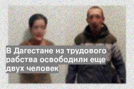 В Дагестане из трудового рабства освободили еще двух человек