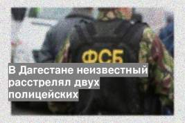 В Дагестане неизвестный расстрелял двух полицейских