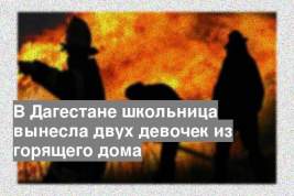 В Дагестане школьница вынесла двух девочек из горящего дома