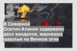 В Северной Осетии-Алании задержали двух вандалов, жаривших шашлык на Вечном огне