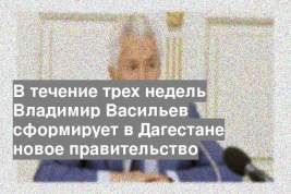 В течение трех недель Владимир Васильев сформирует в Дагестане новое правительство
