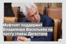 Муфтият поддержит Владимира Васильева на посту главы Дагестана