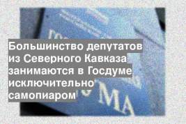 Большинство депутатов из Северного Кавказа занимаются в Госдуме исключительно самопиаром