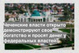 Чеченские власти открыто демонстрируют свое богатство и просят денег у федеральных властей