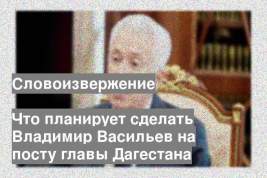 Что планирует сделать Владимир Васильев на посту главы Дагестана
