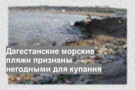 Дагестанские морские пляжи признаны негодными для купания