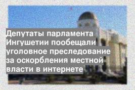 Депутаты парламента Ингушетии пообещали уголовное преследование за оскорбления местной власти в интернете