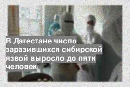 В Дагестане число заразившихся сибирской язвой выросло до пяти человек