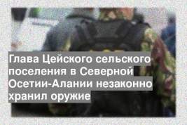 Глава Цейского сельского поселения в Северной Осетии-Алании незаконно хранил оружие