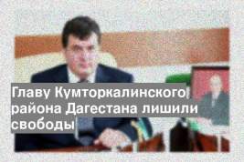 Главу Кумторкалинского района Дагестана лишили свободы