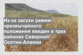 Из-за засухи режим чрезвычайного положения введен в трех районах Северной Осетии-Алании