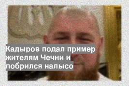 Кадыров подал пример жителям Чечни и побрился налысо
