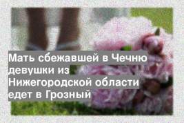 Мать сбежавшей в Чечню девушки из Нижегородской области едет в Грозный