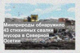 Минприроды обнаружило 43 стихийных свалки мусора в Северной Осетии