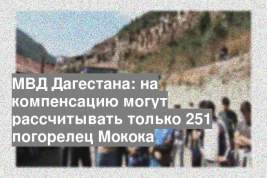 МВД Дагестана: на компенсацию могут рассчитывать только 251 погорелец Мокока