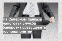 На Северном Кавказе налоговая служба банкротит сразу девять госпредприятий