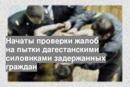 Начаты проверки жалоб на пытки дагестанскими силовиками задержанных граждан