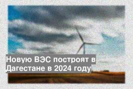 Новую ВЭС построят в Дагестане в 2024 году