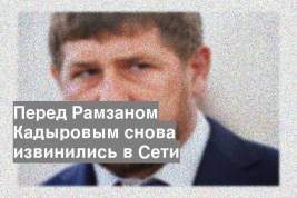 Перед Рамзаном Кадыровым снова извинились в Сети