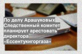 По делу Арашуковых Следственный комитет планирует арестовать директора «Ессентукигоргаза»