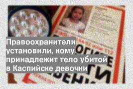 Правоохранители установили, кому принадлежит тело убитой в Каспийске девочки