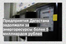 Предприятия Дагестана задолжали за энергоресурсы более 5 миллиардов рублей