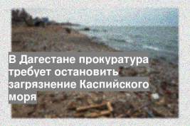В Дагестане прокуратура требует остановить загрязнение Каспийского моря