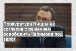 Прокуратура Ниццы не согласна с решением освободить Керимова под залог