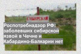 Роспотребнадзор РФ: заболевших сибирской язвой в Чечне и Кабардино-Балкарии нет