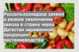 Россельхознадзор заявил о резком увеличении завоза в страну через Дагестан зараженной продукции растениеводства