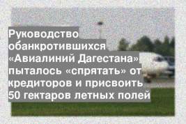 Руководство обанкротившихся «Авиалиний Дагестана» пыталось «спрятать» от кредиторов и присвоить 50 гектаров летных полей