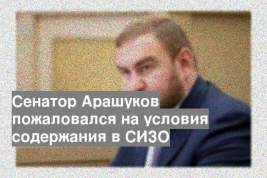 Сенатор Арашуков пожаловался на условия содержания в СИЗО