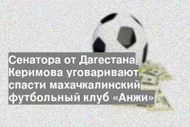 Сенатора от Дагестана Керимова уговаривают спасти махачкалинский футбольный клуб «Анжи»