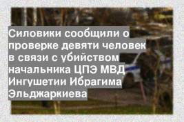 Силовики сообщили о проверке девяти человек в связи с убийством начальника ЦПЭ МВД Ингушетии Ибрагима Эльджаркиева