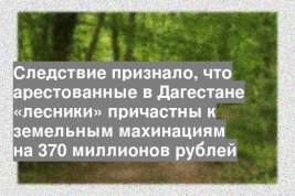 Следствие признало, что арестованные в Дагестане «лесники» причастны к земельным махинациям на 370 миллионов рублей