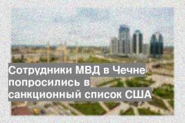 Сотрудники МВД в Чечне попросились в санкционный список США