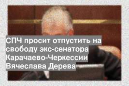 СПЧ просит отпустить на свободу экс-сенатора Карачаево-Черкессии Вячеслава Дерева