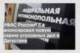УФАС России анонсировал новую серию уголовных дел в Дагестане