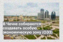 В Чечне собираются создавать особую экономическую зону (ОЭЗ)