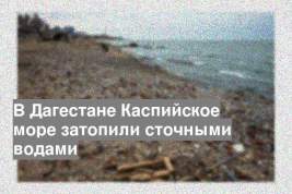 В Дагестане Каспийское море затопили сточными водами