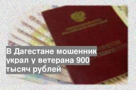 В Дагестане мошенник украл у ветерана 900 тысяч рублей