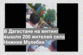 В Дагестане на митинг вышли 200 жителей села Нижние Мулебки