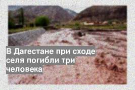 В Дагестане при сходе селя погибли три человека