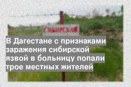 В Дагестане с признаками заражения сибирской язвой в больницу попали трое местных жителей
