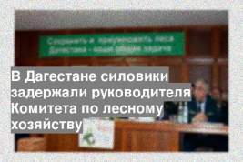 В Дагестане силовики задержали руководителя Комитета по лесному хозяйству